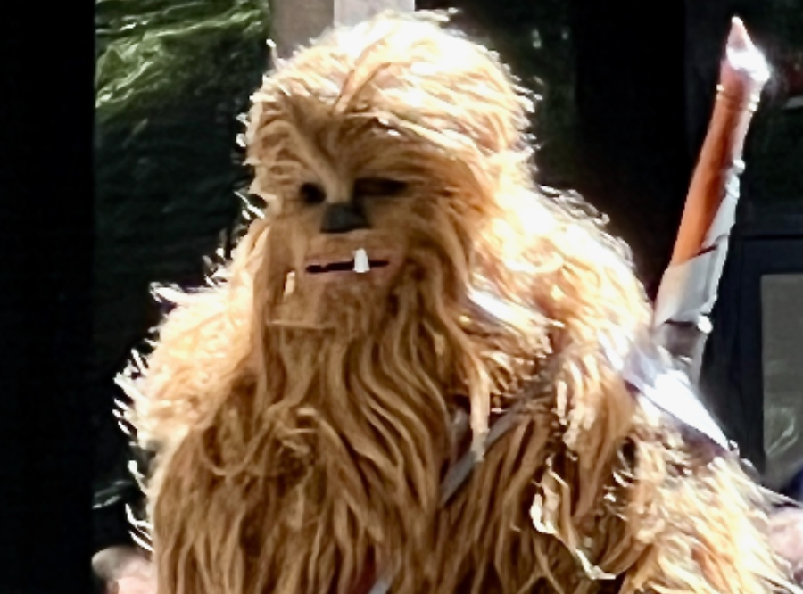 chewy-at-dragoncon Image